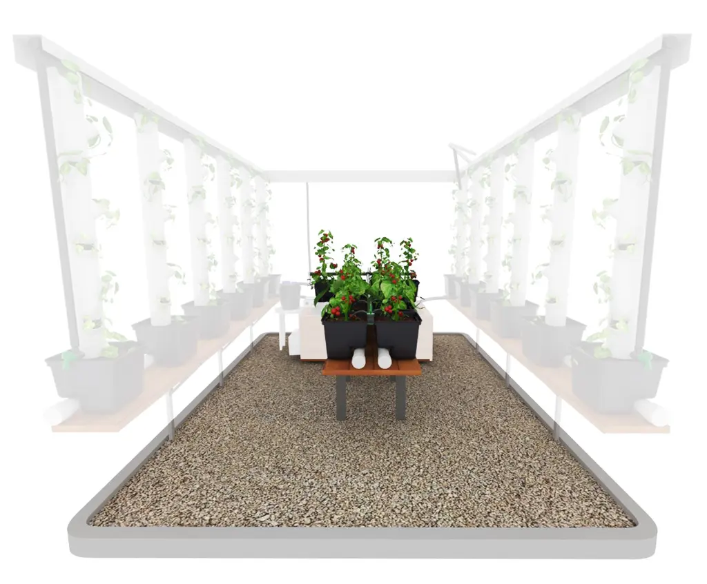 Extension grands plants